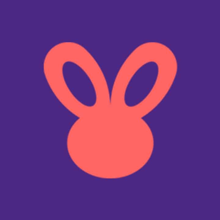 logo dona coelha