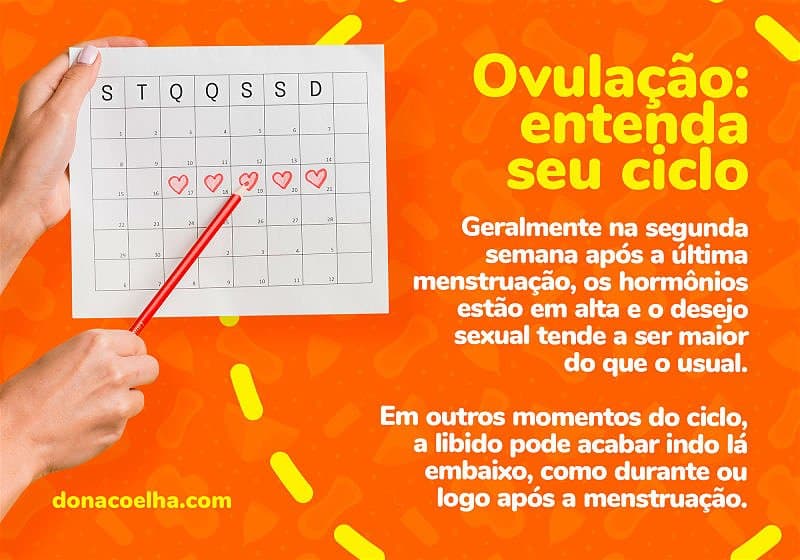 Ciclo da ovulação