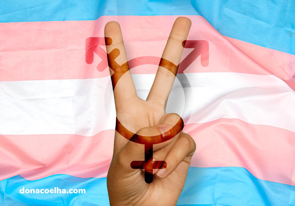 Bandeira orgulho transgênero com uma mão fazendo sinal de dois