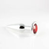 Plug Anal Slim - Imagem 3